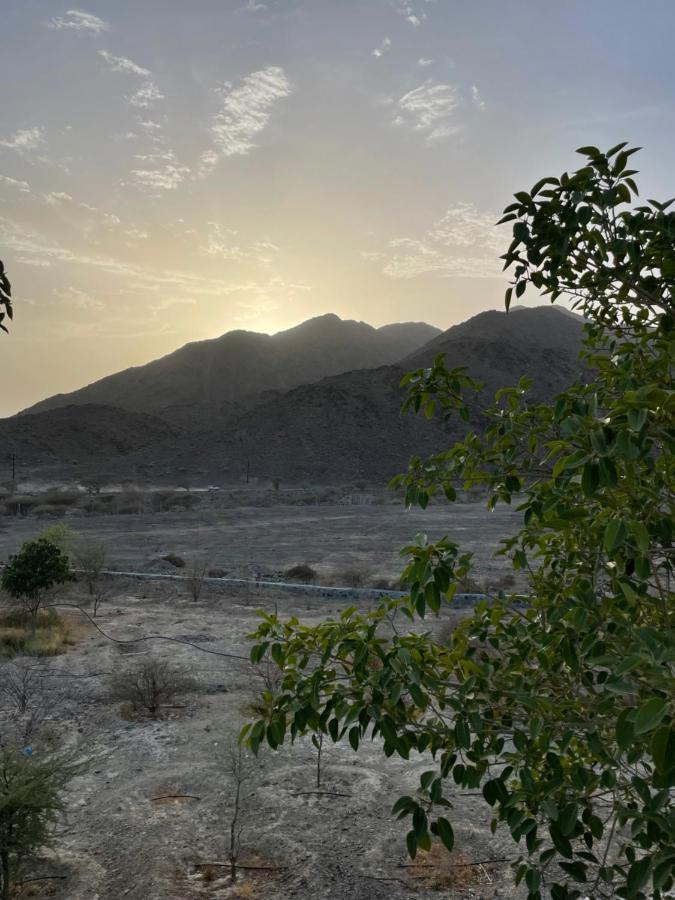 Farm stay Alshahad